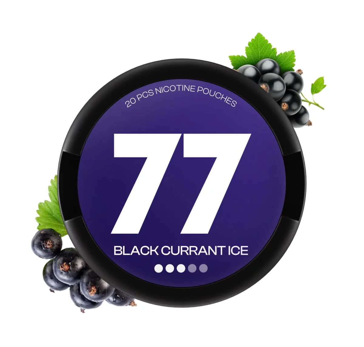 77 Black Currant Medium