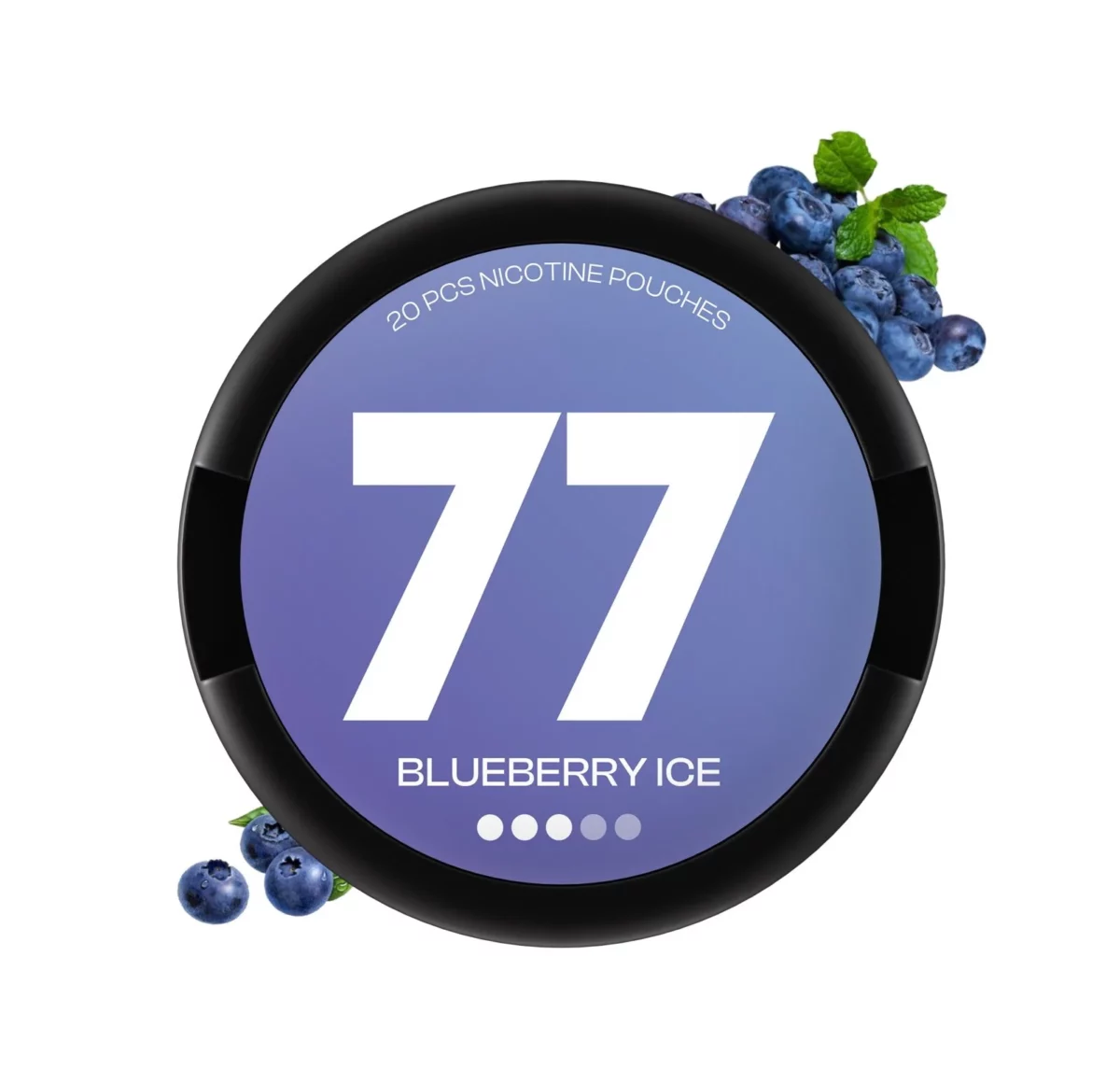 77 Blueberry Medium