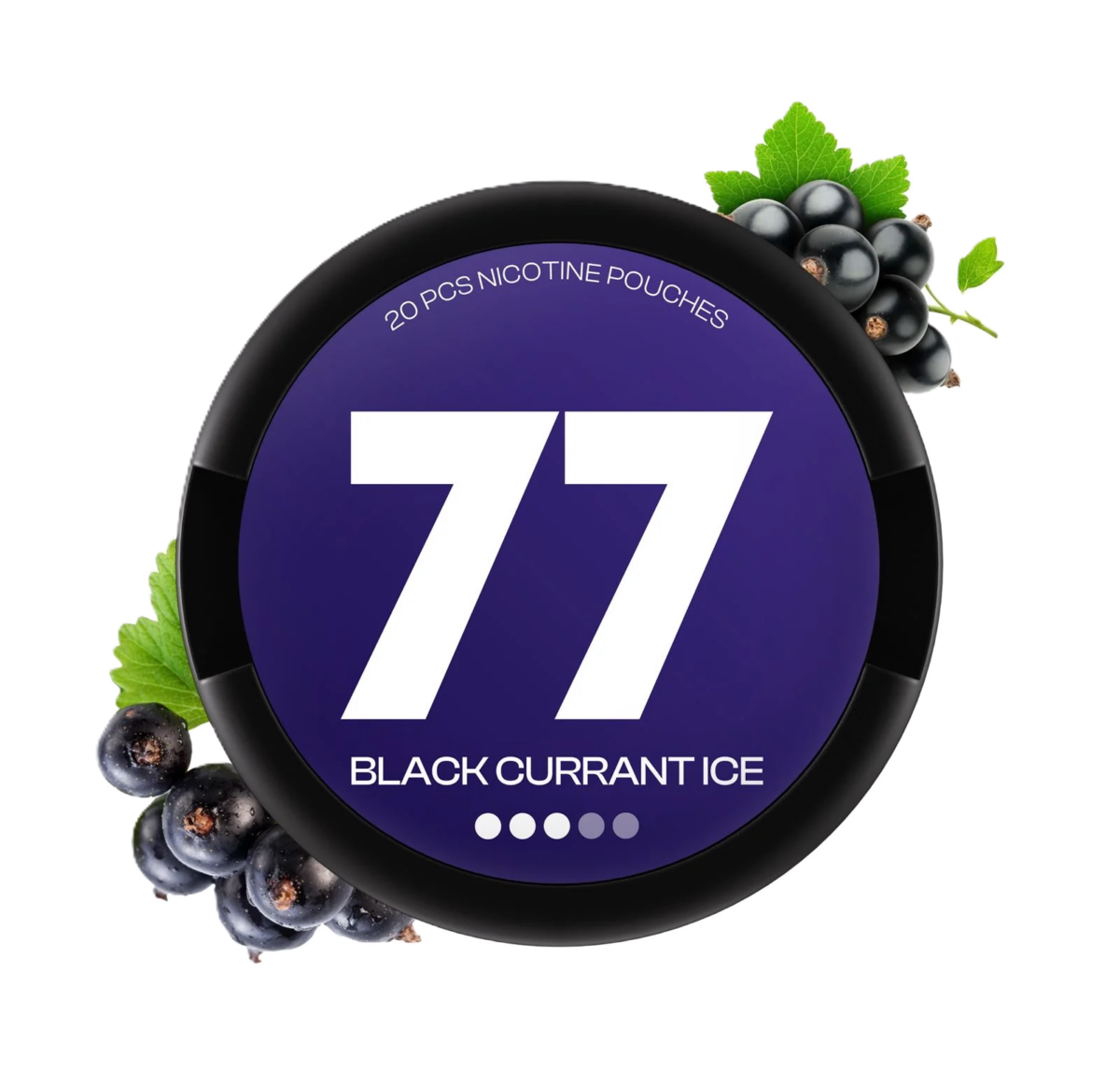 77 Black Currant Medium
