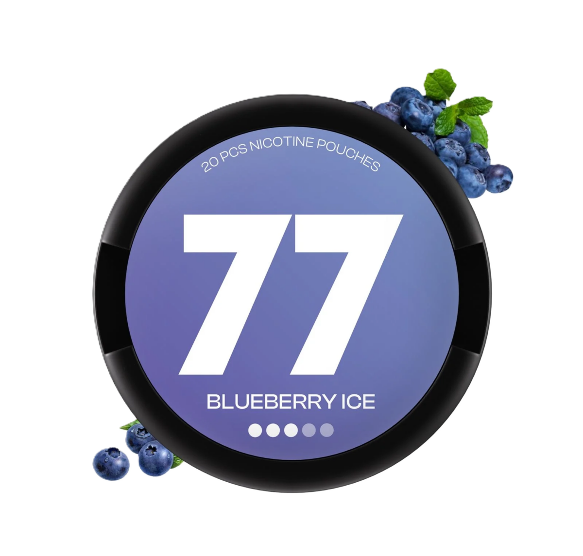 77 Blueberry Medium