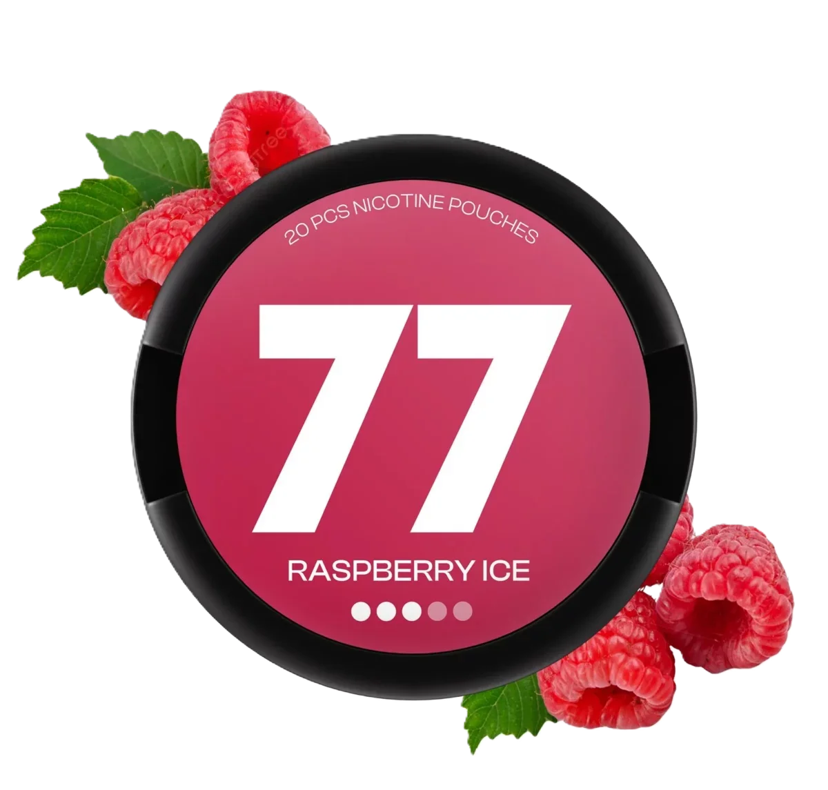 77 Raspberry Medium